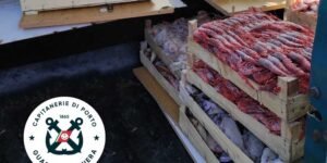 Sequestrata una tonnellata di pesce non tracciato