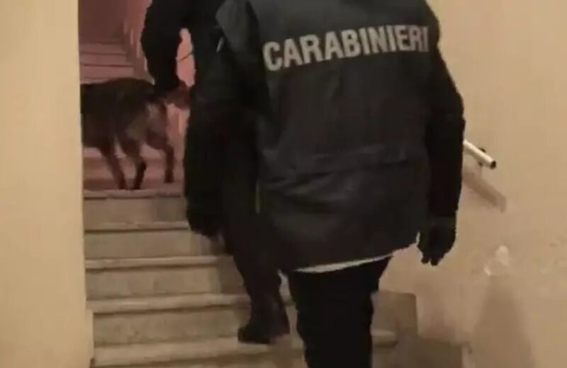 Mafia: operazione nell’Agrigentino, 29 fermi [VIDEO]